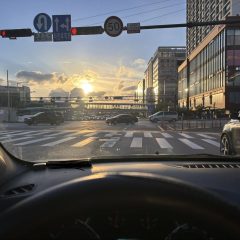 역주차에 대한 완전한 승리