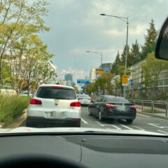 밀집 주차장 쓰러지던 걸 안 외웠어요