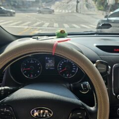 강동 근처에서 연습했어요