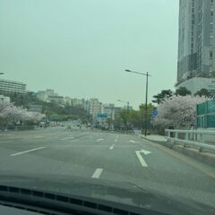 강동 도로 주차 끝내기