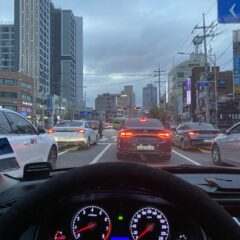 첫 highway 운전 성공! 소름 돋는 경험!