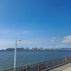 비 오는 날 연수 경험