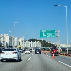 가성비 최고 코스