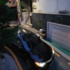 강동 오후 운전
